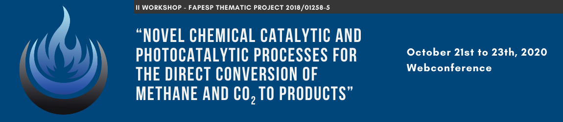 II WORKSHOP – FAPESP THEMATIC PROJECT "METHANE CO2 PRODUCTS"